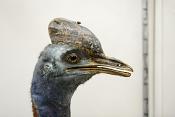 museo di zoologica bologna 8-2022 4567